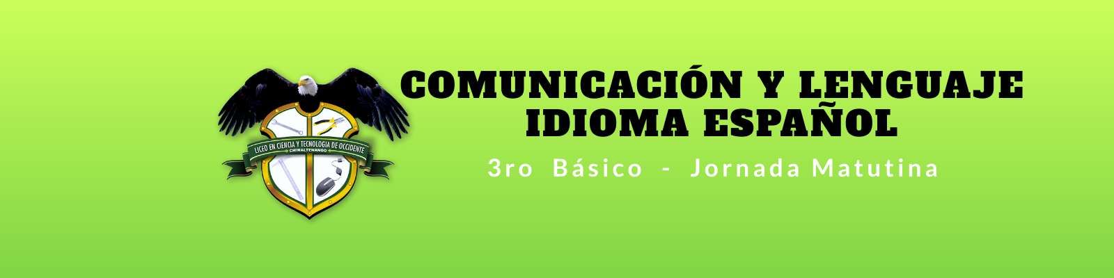 Comunicación y Lenguaje, Idioma Español